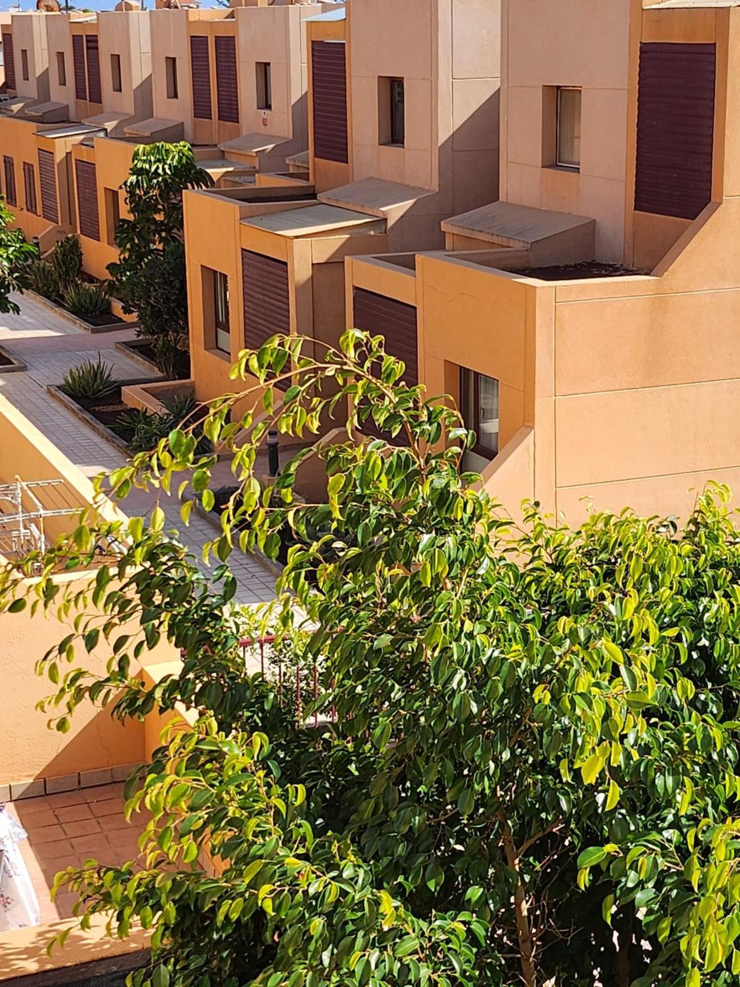 Bahia Sol Deluxe Apartment Калета де Фусте Екстериор снимка